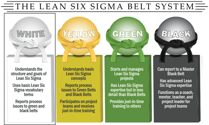 Six sigma white belt certification answers