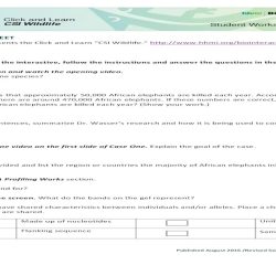 Csi wildlife part 2 answer key