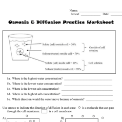 Osmosis crossword diffusion