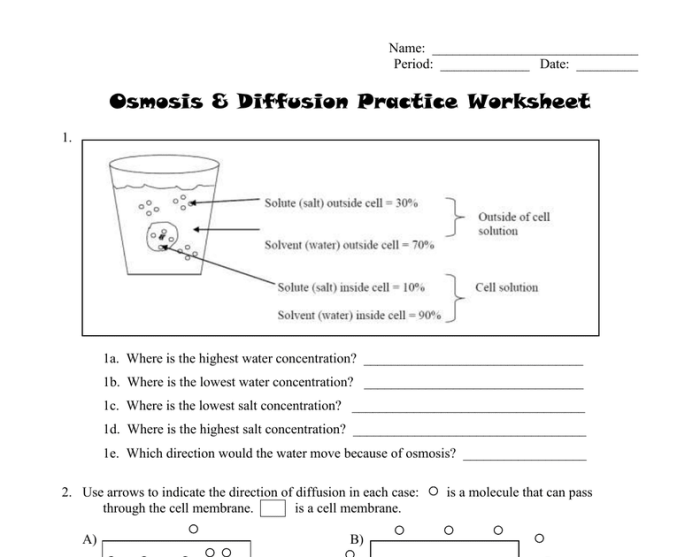 Osmosis crossword diffusion