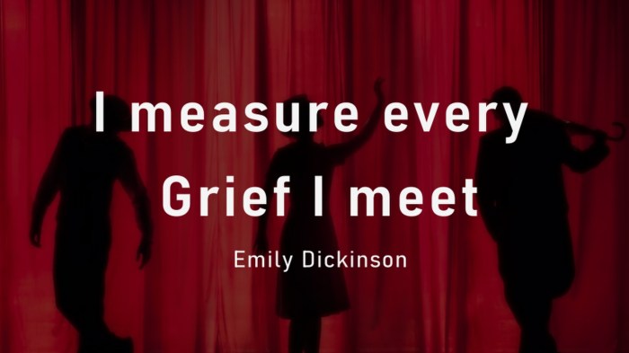 Emily dickinson i measure every grief i meet