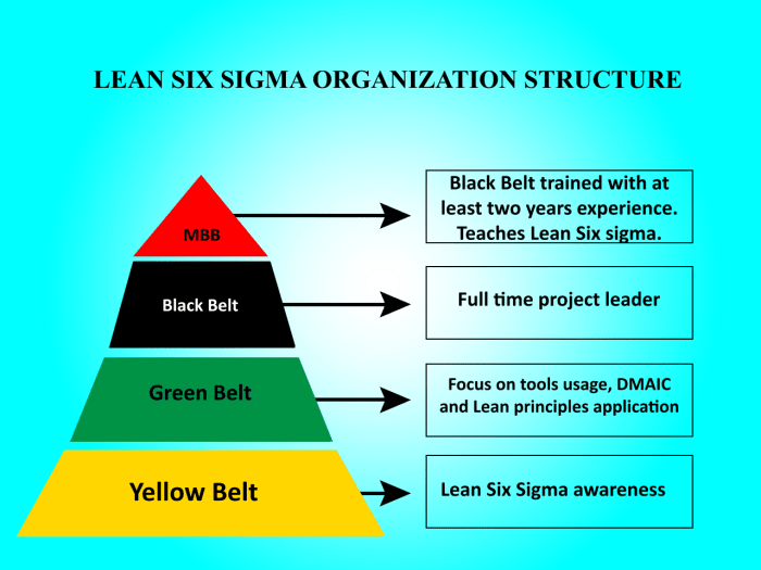 Sigma belt six lean green certification training puzzle earning become pieces central days iassc cssc exams rourkela rims certificate workshop