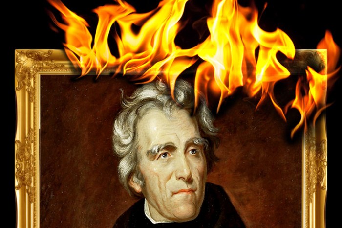 Bad things andrew jackson has done