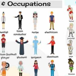 Occupations that end with ist