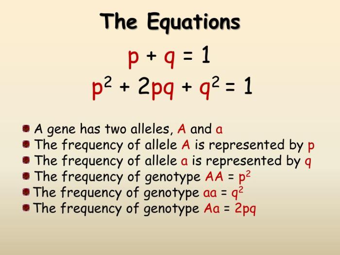 Hardy weinberg equilibrium gizmo answers