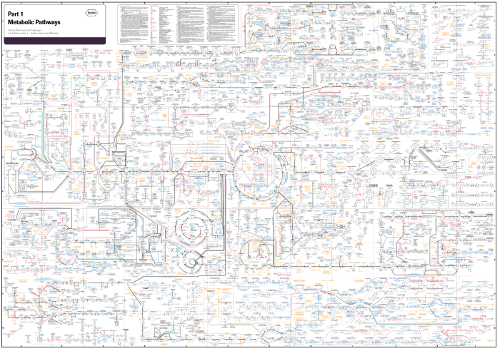 Consider the biochemical pathway a-e1- b-e2- c